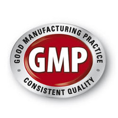 gmp_logo